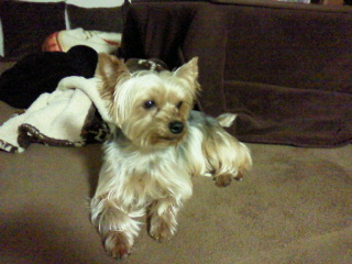 2012031101020004.jpg