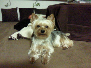 2012031101030000.jpg