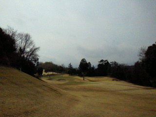 2012031510440000.jpg