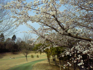 2012041009100000.jpg