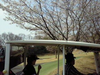 2012041009110000.jpg