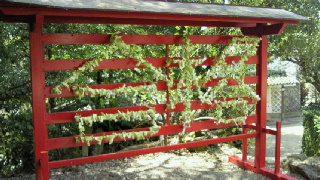 2012041413530000.jpg