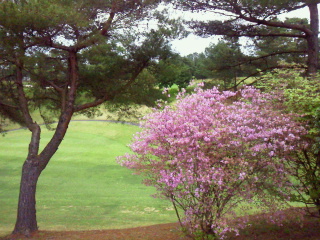 2012042611250000.jpg