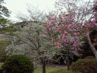 2012042614390001.jpg