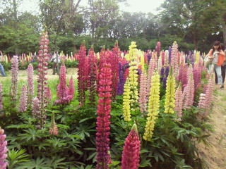 2012052013510001.jpg