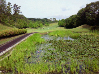 2012053008120001.jpg