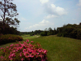 2012060111430000.jpg