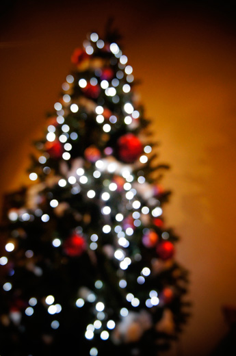 クリスマスツリー ディナー