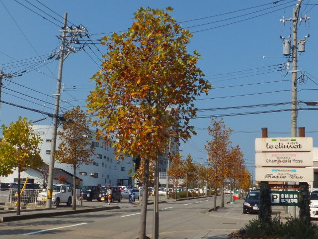 H25.11.2