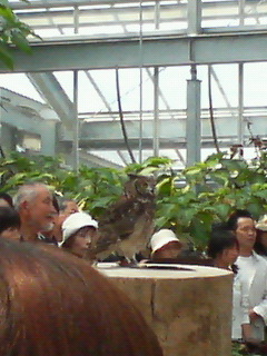 20070504_156118.jpg
