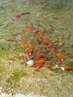 20070504_156121.jpg