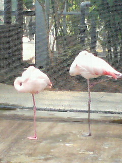 20070504_156124.jpg
