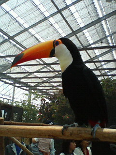 20070504_156127.jpg