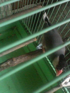 200805311307000.jpg