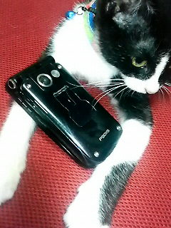 200709030140000.jpg