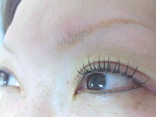 はっ 眉毛が無いっ 交野市 枚方市 寝屋川市 京田辺市ハーバルピール まつげパーマ 全身脱毛 メンズヒゲ脱毛 Sally 内川恵美