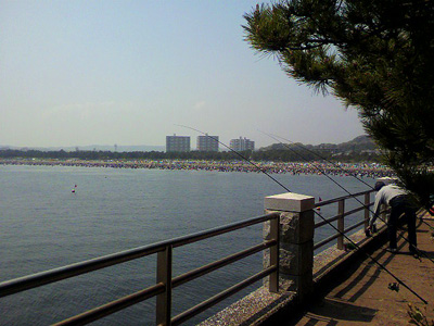 海の公園