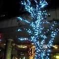 20051121_75806.jpg
