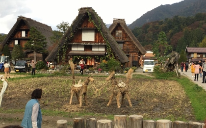 8Nov blog (1).jpg