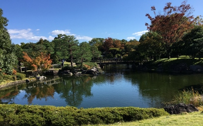 8Nov blog (9).jpg