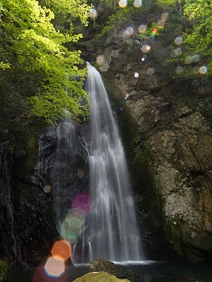 長沢の滝2