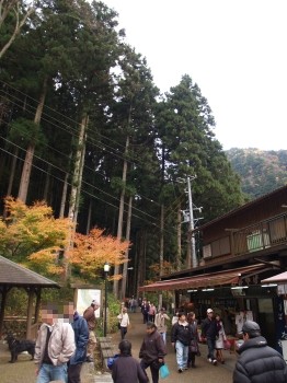 三重県・赤目四十八滝