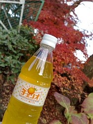 炭酸飲料・チェリオ