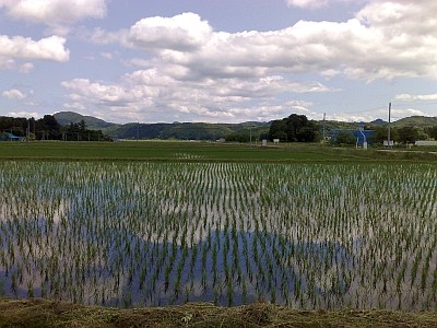 田園風景
