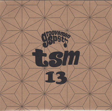 grooveman Spot / The Stolen Moments Vol.13