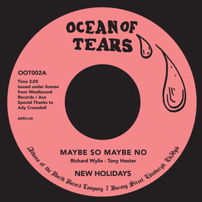 New Holidays / Maybe So Maybe No - My Baby Aint No Play Thing (7)
