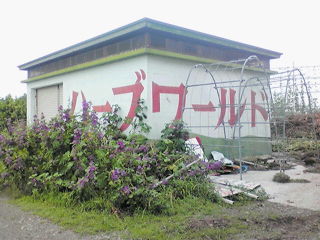 20100629110233.jpg