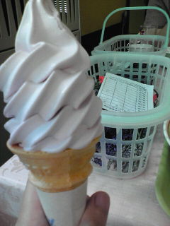 20100629130428.jpg