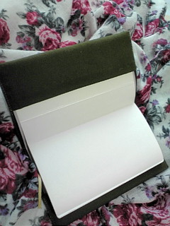 20111113073044.jpg