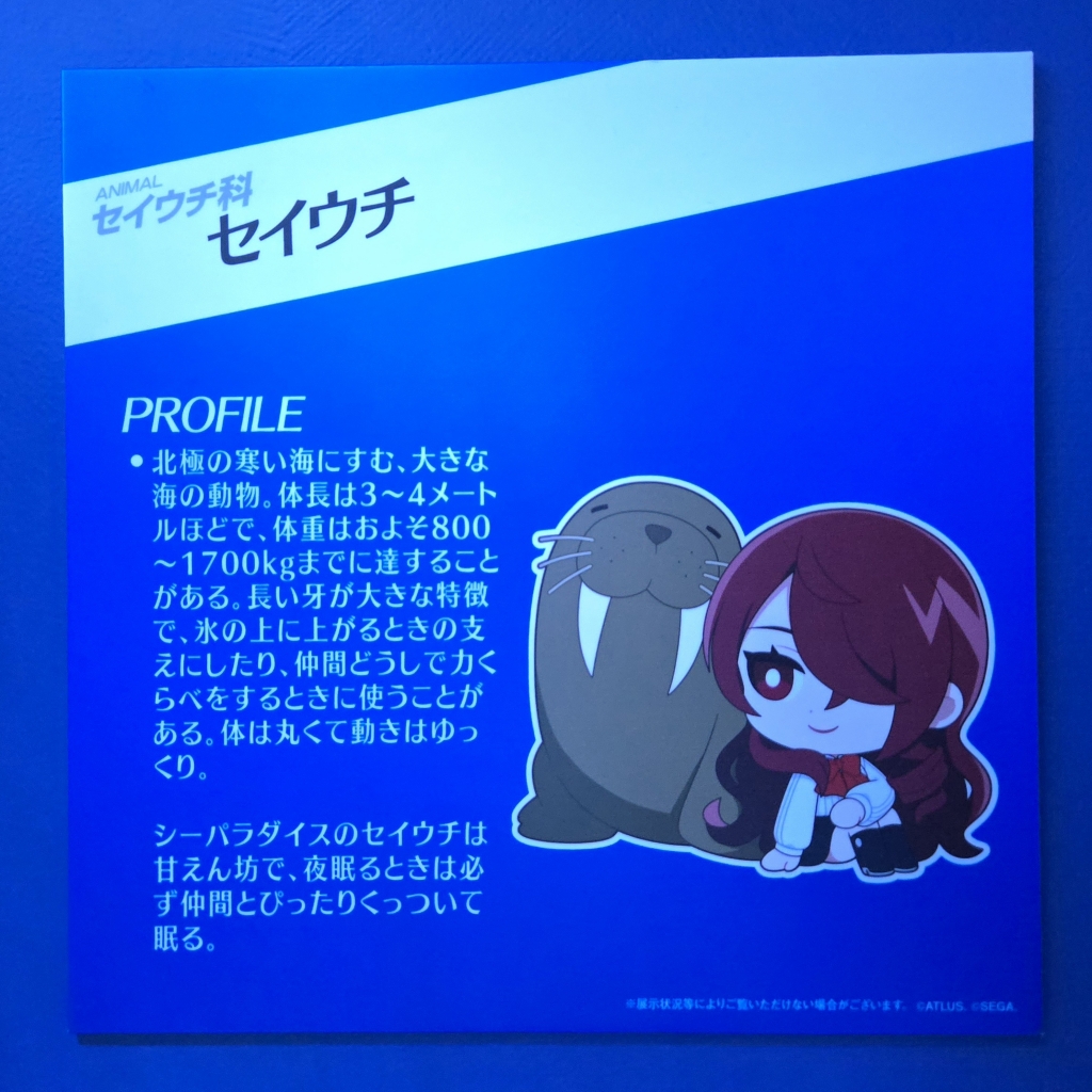 P30th×シーパラ】解説パネル（種名板）ログ | 君のためにナンを焼く