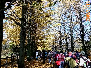 20091115113550.jpg