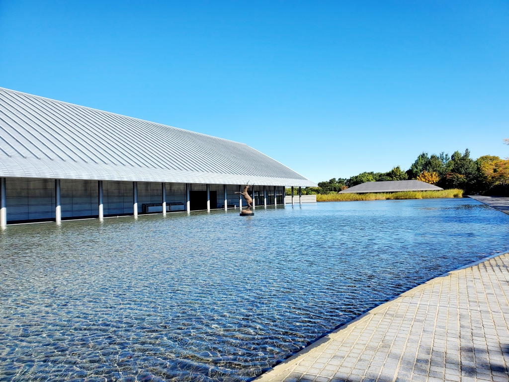 佐川美術館 | 季節を愛でる