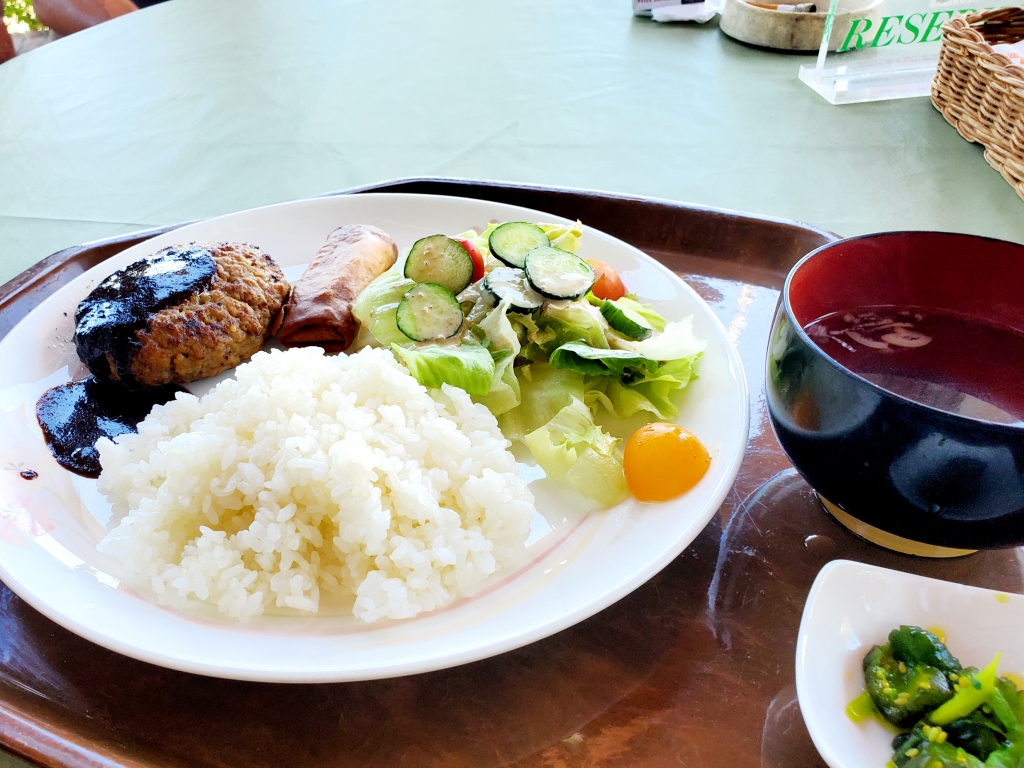 白樺湖で犬とランチ【モンテローザ】 | 季節を愛でる