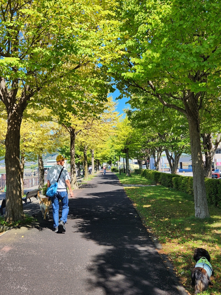 信州 犬と散歩【諏訪湖畔公園】 | 季節を愛でる