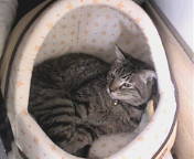 20070915143602.jpg