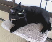 20070915143711.jpg