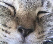 20070920095258.jpg