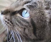 20070925160333.jpg