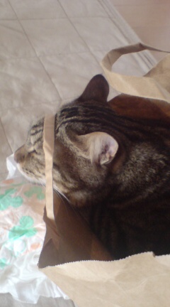 20100721111028.jpg