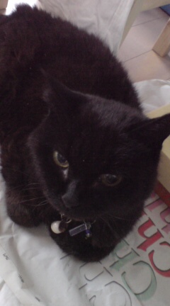 20100609153846.jpg