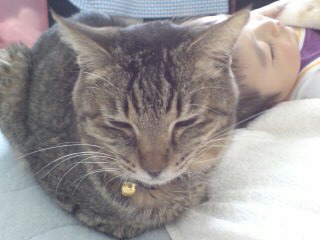 20080422133525.jpg