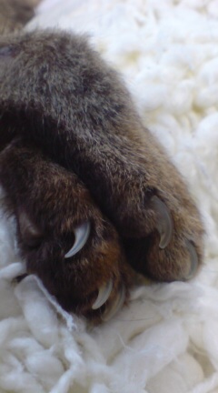 20101103075839.jpg