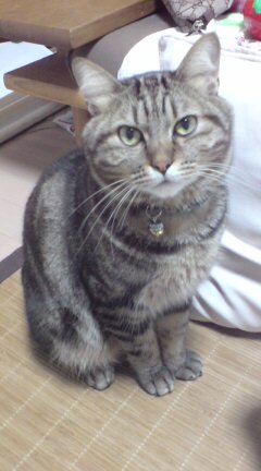 20101106233233.jpg