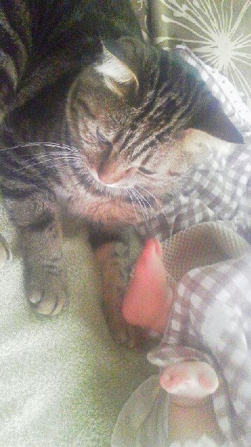 2011051011220000.jpg