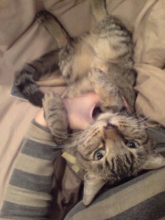 20071121163904.jpg