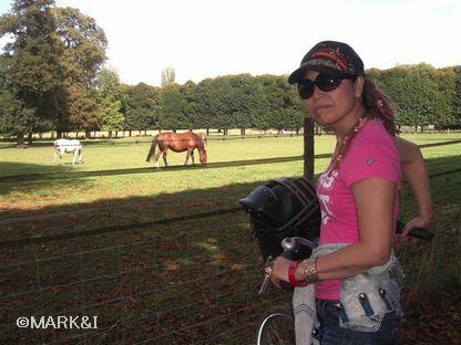やっぱヴェルサイユに馬がいたよん!乗馬クラブめっけ!さっそく乗馬交渉に